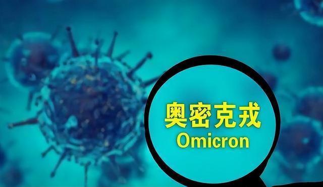 与云吐勿世间稀,一山更比一山高是什么生肖仔细释义、解释与落实、前沿解答解释落实