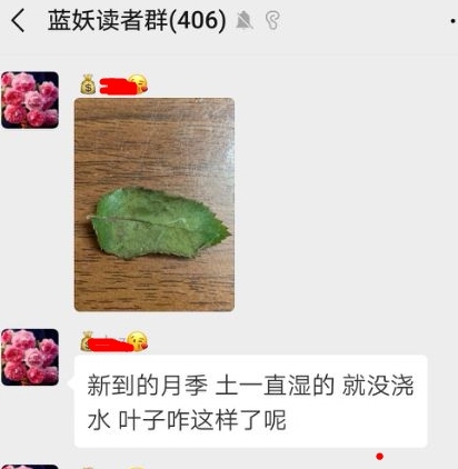 诗囊愧少买花钱,李某郭记大交后打一准确生肖精选解析、解释与落实、前沿解答解释落实