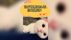 性命攸关打一生肖是什么，详细解答、综合解答解释落实