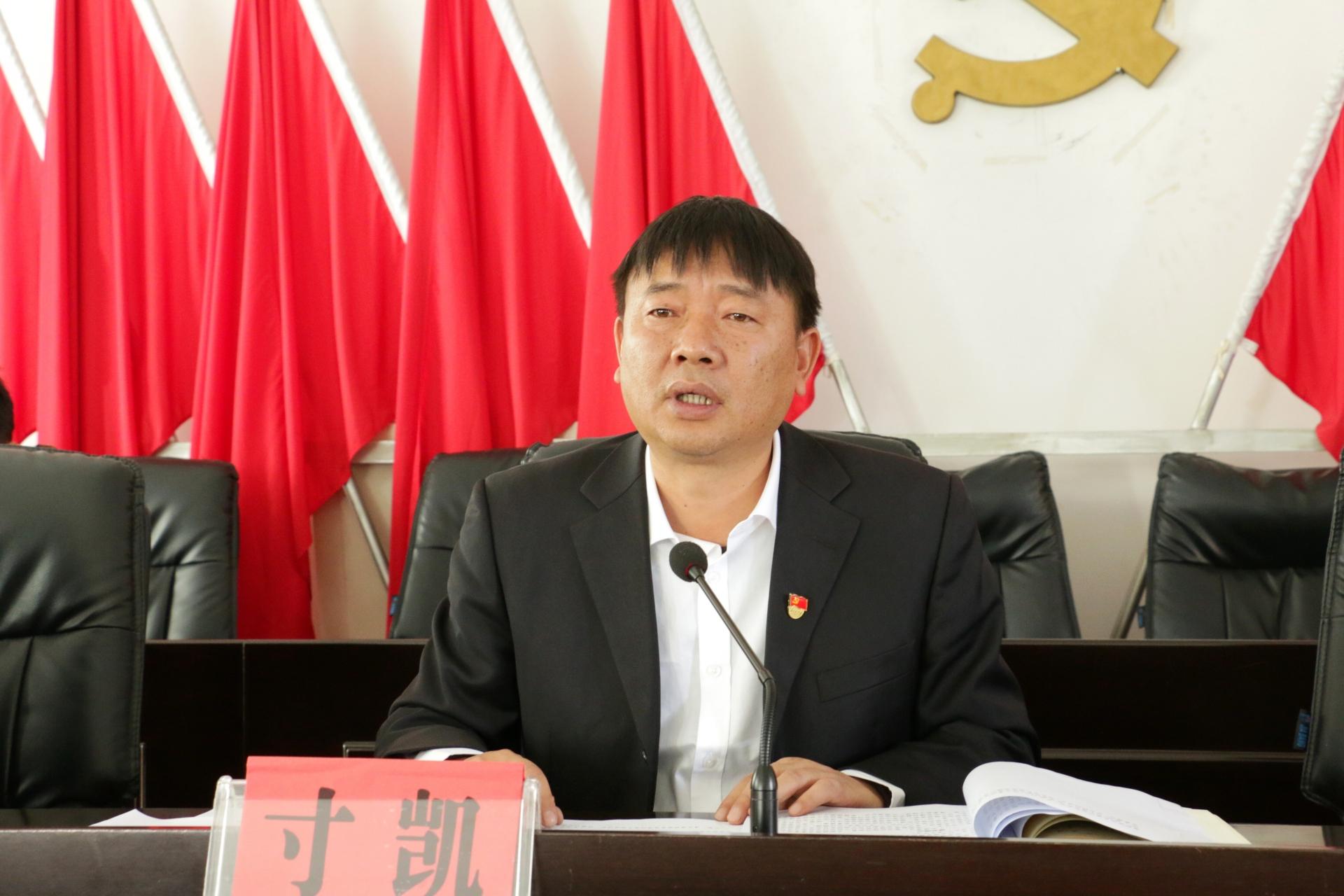 扮猪吃虎夏日炎是什么生肖，详细解答、定量解答解释落实