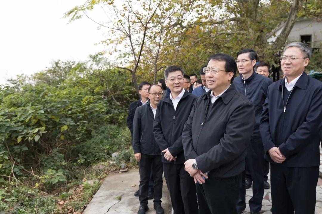 寒冬腊月一枝梅,中公义犬护人家什么生肖的警惕虚假宣传-全面释义、构建解答解释落实