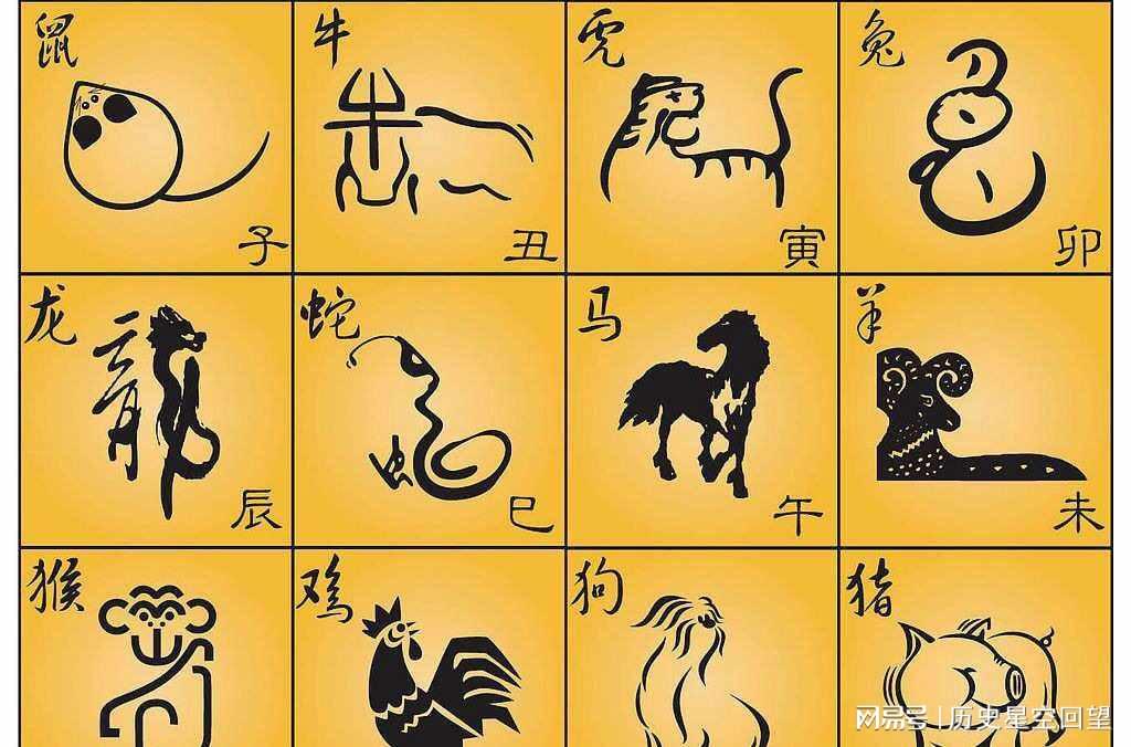 幸运之神来我家，不中六合都很难是指那个生肖全面释义、前沿解答解释落实