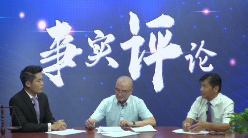 品头论足打一个生肖，详细解答、专家解答解释落实