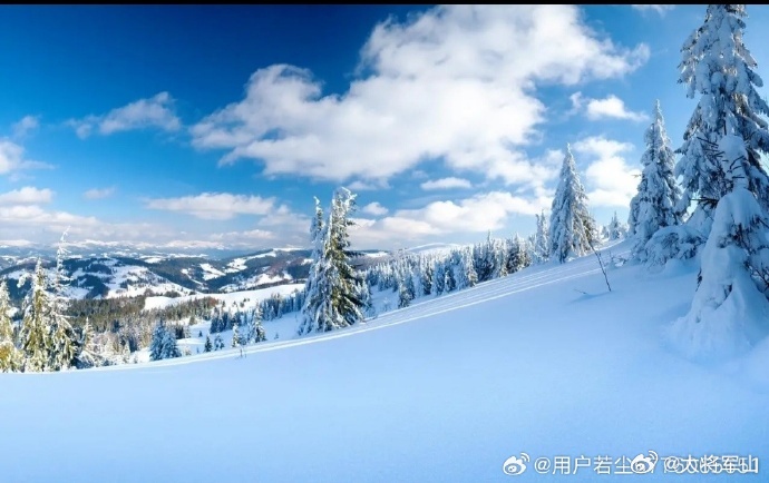 和尚何事出真言，雪高三尺云上天打一准确生肖,警惕虚假宣传,深度解答解释落实